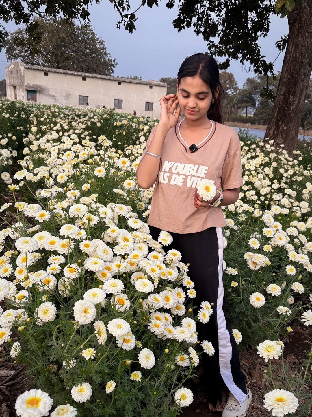 Photo by Mahi Pawar | Agriculture & Farming on February 14, 2026. May be an image of flower and text.