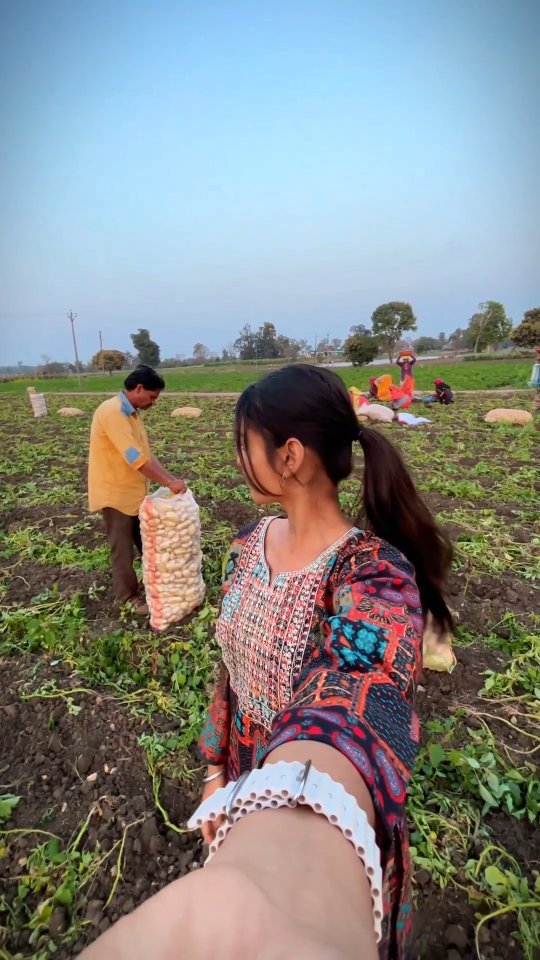 indianfarmergirl 게시물 이미지: Minivlog 🥔😁 @indianfarmergirl 
#farming...