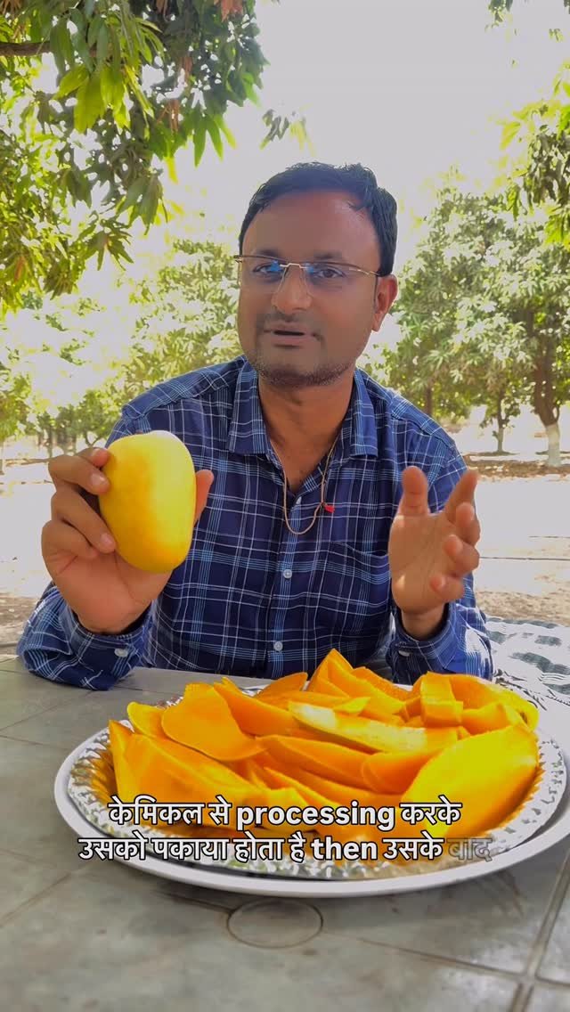 indoisrael_technology__tips 게시물 이미지: 🥭 नौकरी से मिलती है सैलरी, केसर आम देता है...