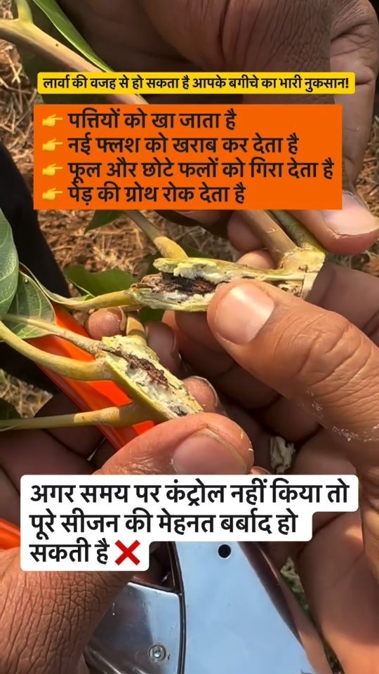 indoisrael_technology__tips 게시물 이미지: छोटा सा कीड़ा…
लेकिन नुकसान लाखों का 😨 💡 क्या...