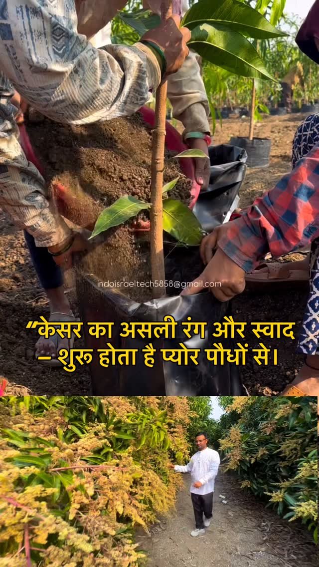 indoisrael_technology__tips 게시물 이미지: “शुद्धता का भरोसा, स्वाद का वादा — हमारे Pure...