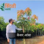 hindavinursery 프로필 사진