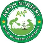 avadhnursery 프로필 사진