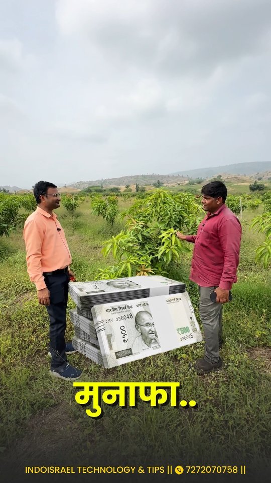 indoisrael_technology__tips 게시물 이미지: “10 Acres Mango Project – लाखों नहीं, करोड़ों...