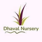 dhavalnursery.in 프로필 사진