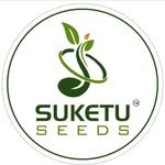 suketuseeds 프로필 사진