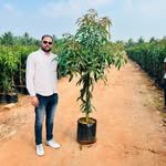 hindavinursery05 프로필 사진