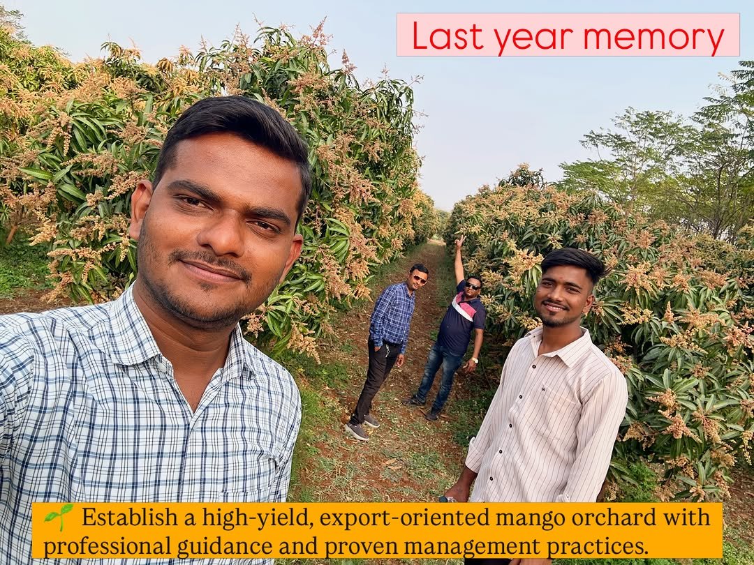 indoisrael_technology__tips 게시물 이미지: 📈“We Don’t Just Grow Mango Plants… We Grow...