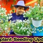 multigardening_lucknow 프로필 사진