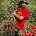 apple_farming23 프로필 사진