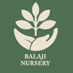 balaji_nursery 프로필 사진