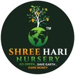 shreeharinursery 프로필 사진