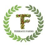 terracefarms.in 프로필 사진