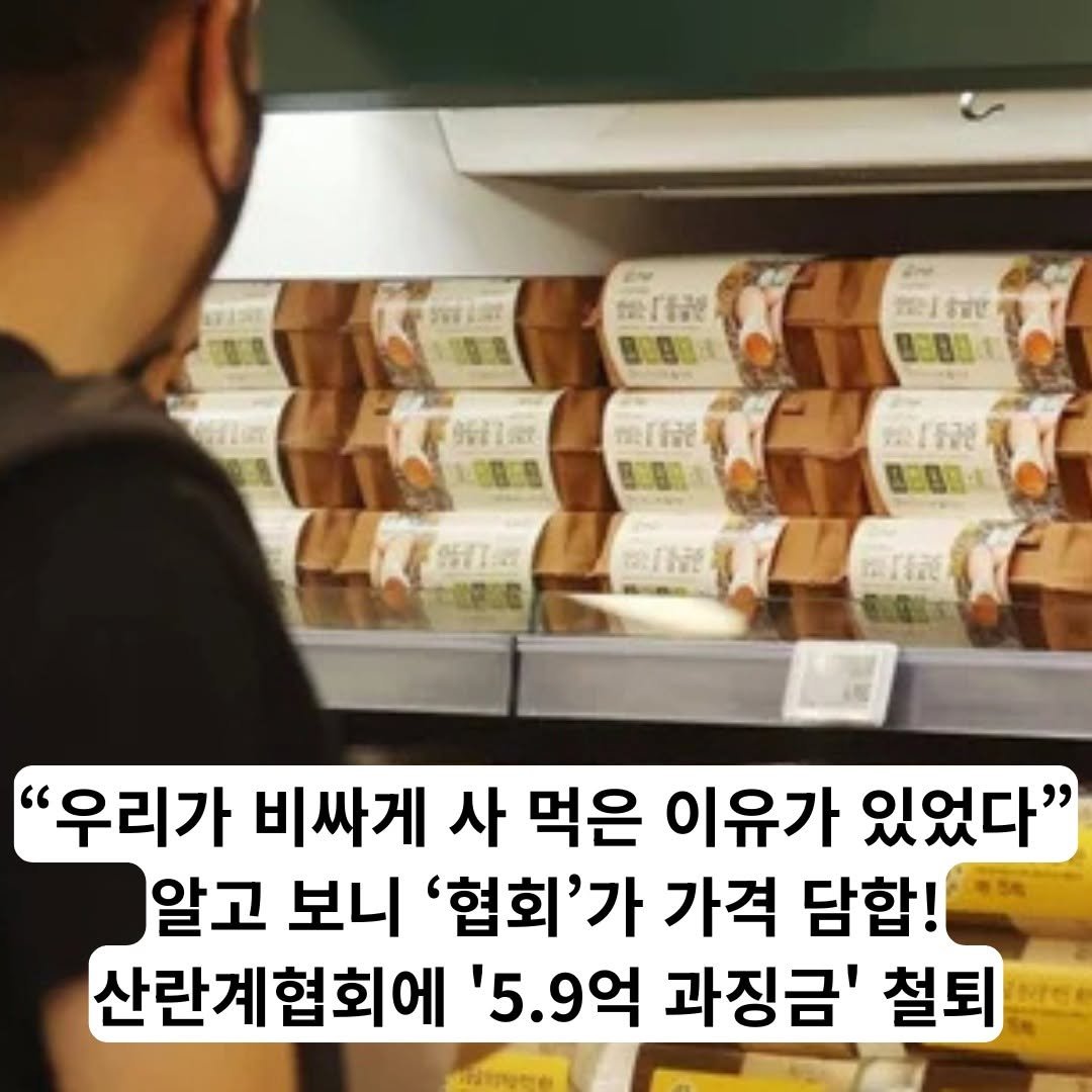 information_rank 게시물 이미지: 와... 계란 살 때마다 손 떨렸던 게 기분 탓이 아니었네요? 🥚💸

왜 유독...