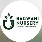 baghwaninursery 프로필 사진
