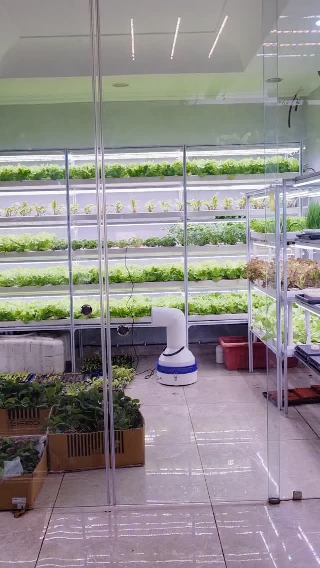 inhydro.in 게시물 이미지: INHYDRO’s Vertical NFT Hydroponics Farm with...