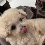 ccck._.ccc 프로필 사진