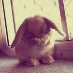 seoyounggggggggg 프로필 사진