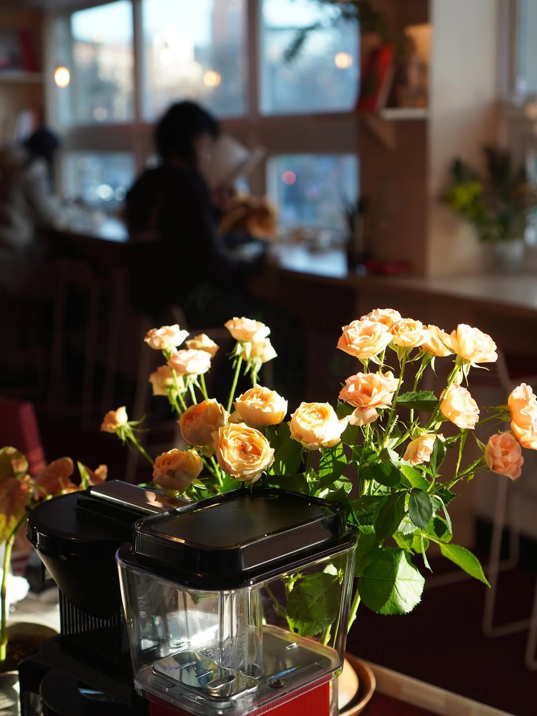 Photo by 인스크립트 Inscript on December 14, 2025. May be an image of coffee maker, tea maker, flower arrangement, prairie gentian, baby's-breath, cornflower, carnation, rose and text.