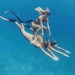 sudo.internet 프로필 사진