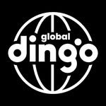 dingo_global 프로필 사진