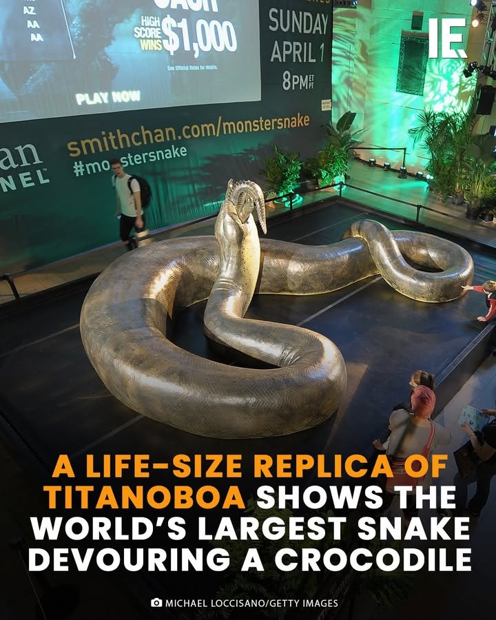 Photo by Interesting Engineering on April 27, 2026. May be an image of snake, crocodile and text that says 'AZ AA AA n HIGH SCORE WINS $1,000 SUNDAY APRIL1 8PMA IE PLAY NOW mithchan.com/monstersnake mithchar com/monstersnake #mo stersnake n NEL A LIFE-SIZE REPLICA OF TITANOBOA SHOWS THE WORLD'S LARGEST SNAKE DEVOURING A CROCODILE O MICHAEL LOCCISANO/GETTY MICHAELLOCCISANO/GETTYIMAGES IMAGES'.