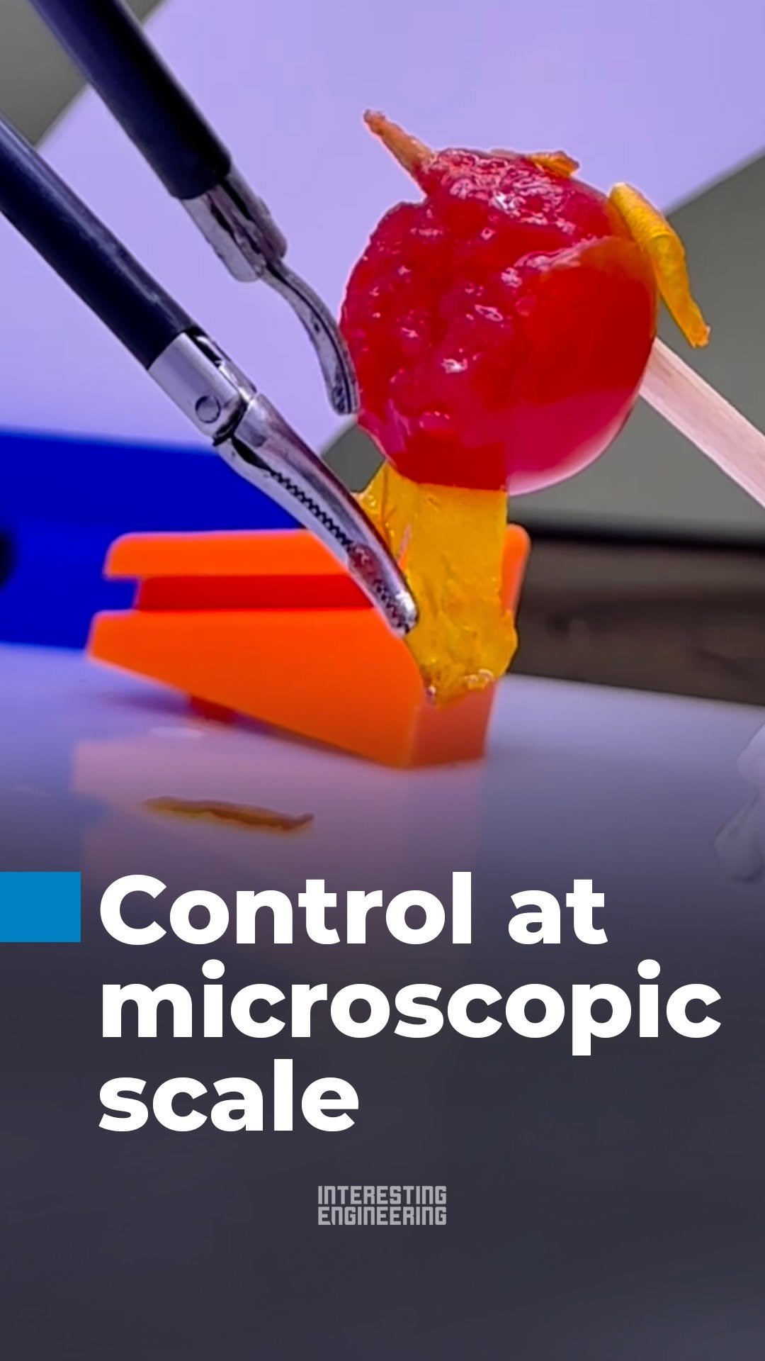 interestingengineering 게시물 이미지: This training exercise lets surgeons undergo...