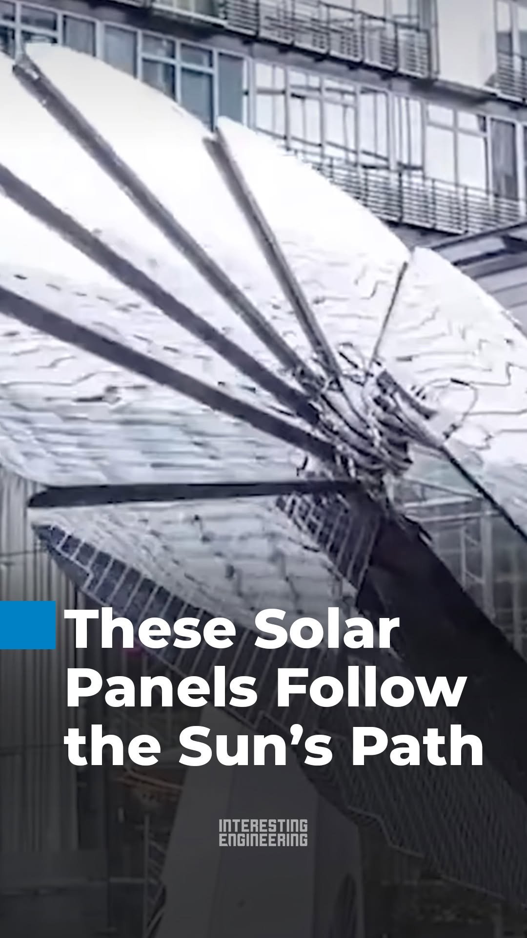 interestingengineering 게시물 이미지: This unique electronic flower generates solar...