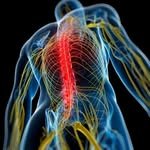 endbackpain 프로필 사진