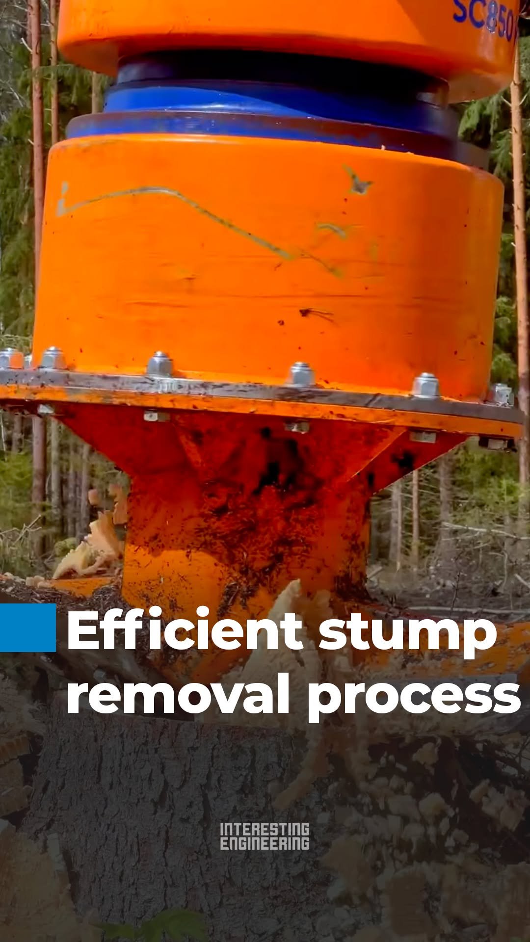 interestingengineering 게시물 이미지: Between a hydraulic stump grinder and a tree...