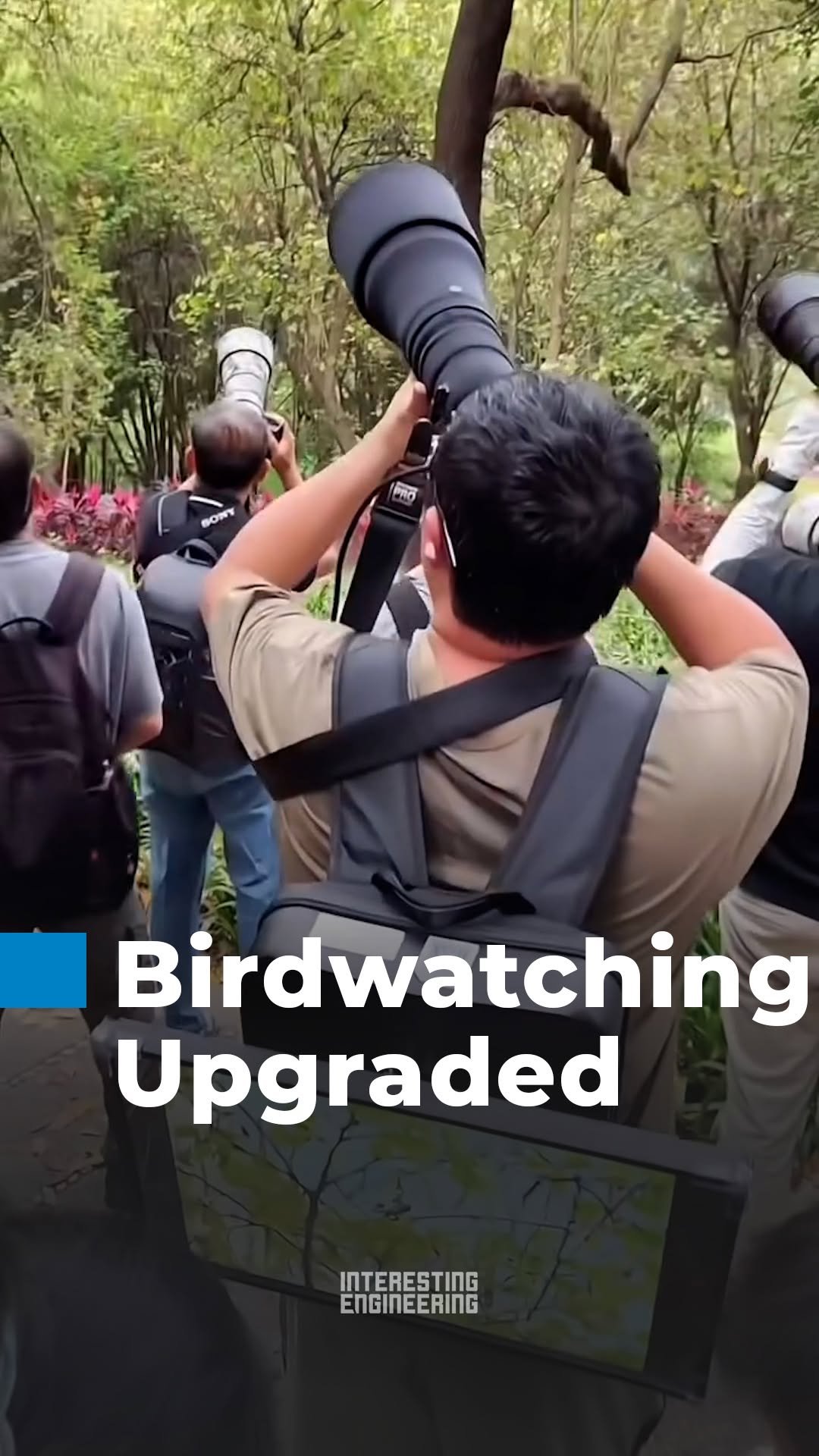 interestingengineering 게시물 이미지: Chinese birdwatchers are showing up with...