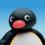 pingu 프로필 사진