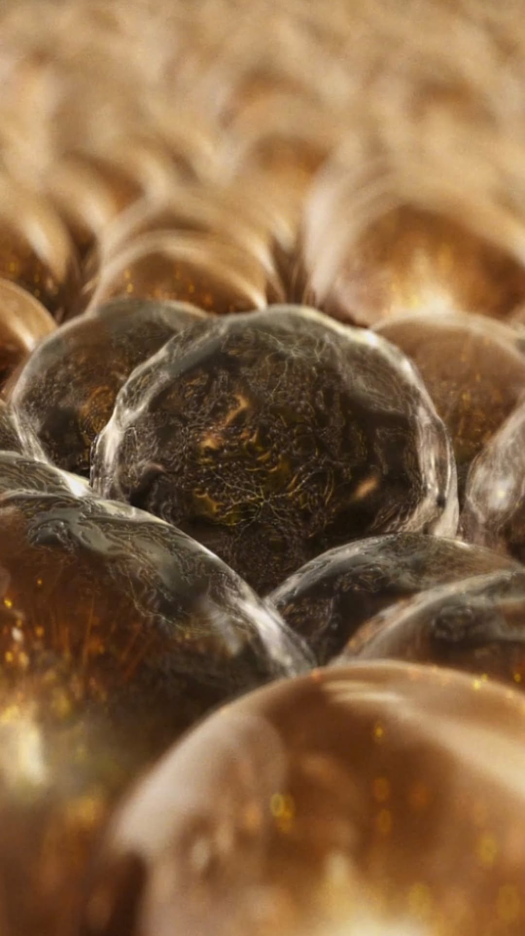 iope_official 게시물 이미지: ㅤㅤㅤ
상한 귤 = 노화 인자?

상한 귤 하나가 주변 귤까지 상하게 하듯
노화...