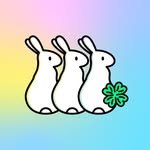 chasinrabbits.official 프로필 사진