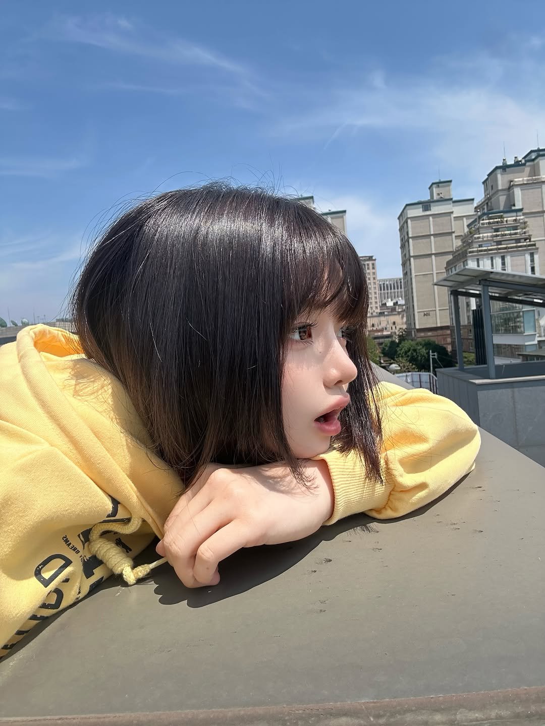 iroiro_0000 게시물 이미지: 夏🌻