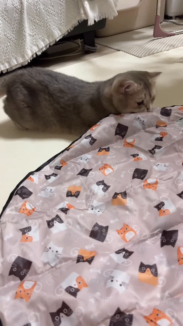 iruda_c 게시물 이미지: 테무발 개꿀템 발견!👀