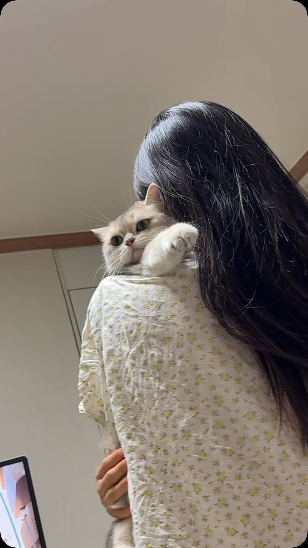 iruda_c 게시물 이미지: 😾인간색히.. 버릴까..? 
#새집사구함