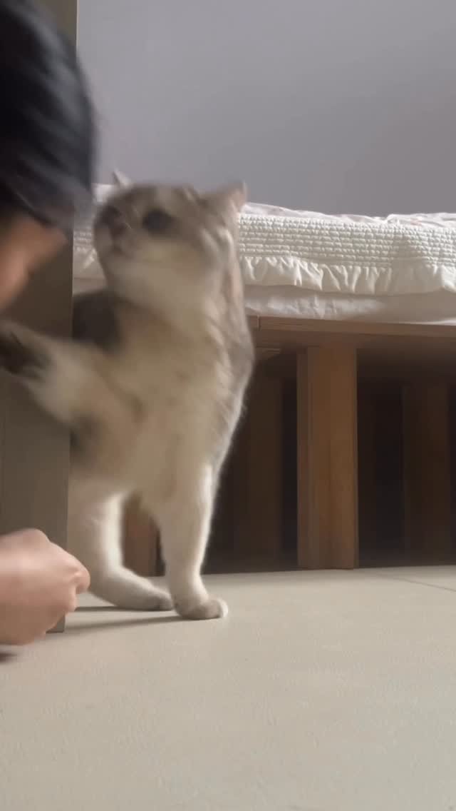 iruda_c 게시물 이미지: 새해빵 맞을 사람🙋‍♀️🙋‍♂️