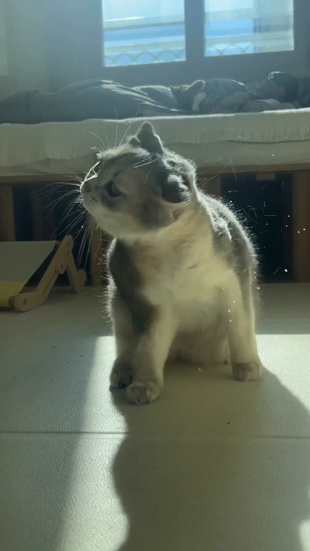 iruda_c 게시물 이미지: 털뿜뿜 침뿜뿜💦