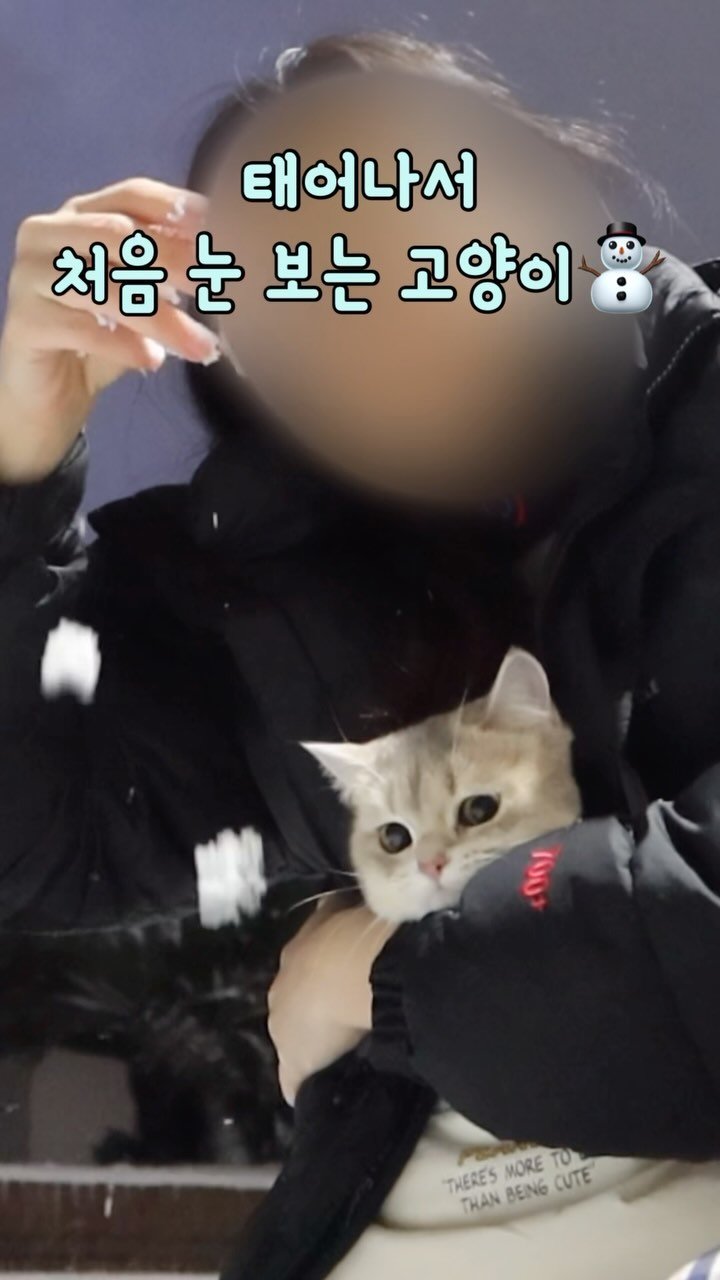 iruda_c 게시물 이미지: 묘생 첫눈❄️