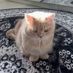 saeri_____ 프로필 사진