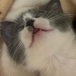 ray__1125 프로필 사진
