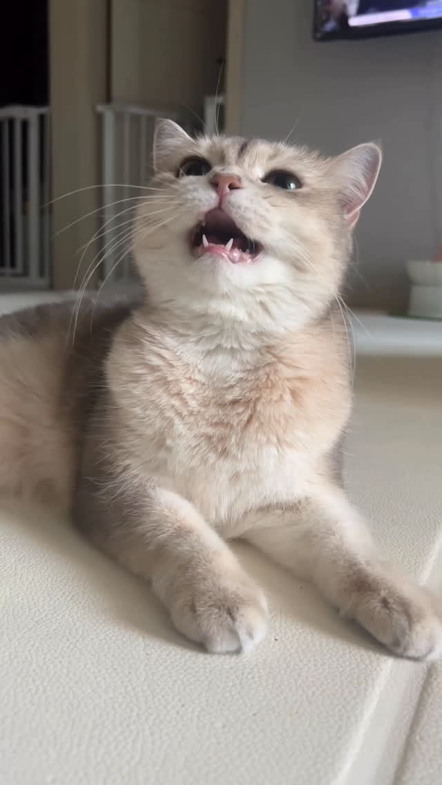 iruda_c 게시물 이미지: 나좀봐🐣