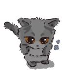 munchkin_dalkong 프로필 사진