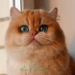 gm_dong2 프로필 사진
