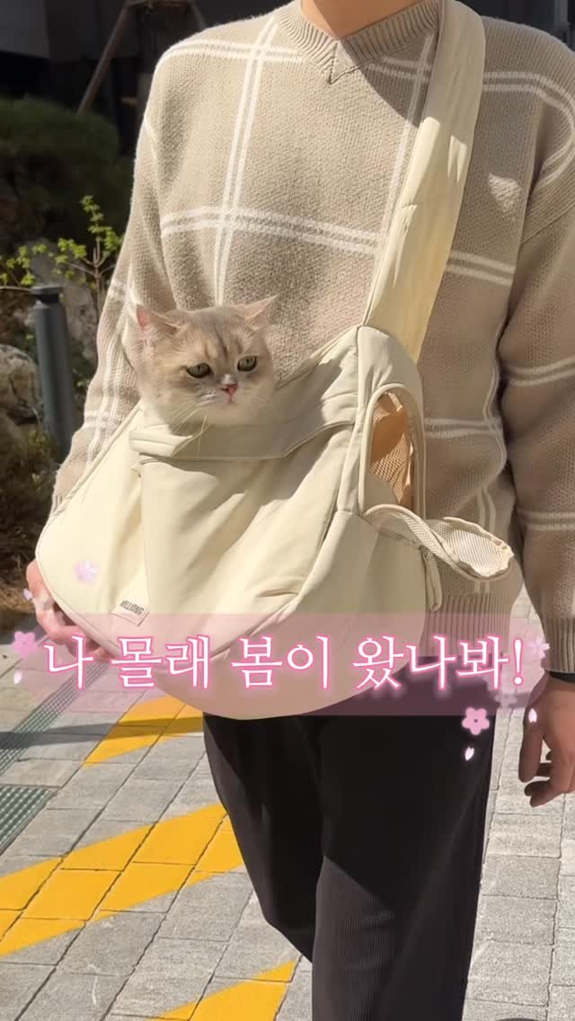 iruda_c 게시물 이미지: #협찬 #밀리옹뉴밀링백

여러분 저 새 가방 생겼어요 😎
바로 ✨밀리옹...