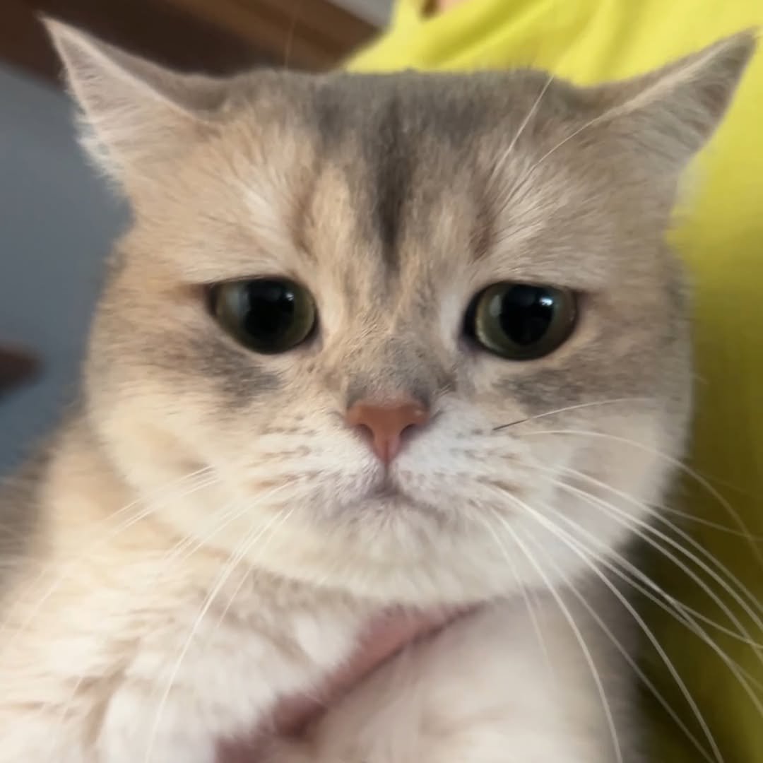 iruda_c 게시물 이미지: 얼마나 억울한지 감도 안 온다🥲