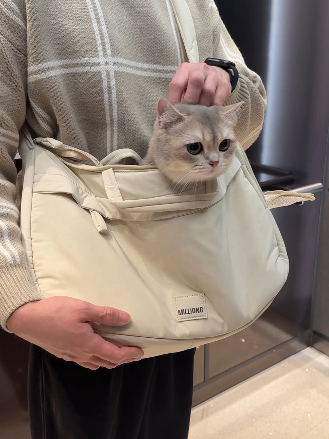 Photo shared by RUDA 루다ㅣ초미묘 고양이 on April 01, 2026 tagging @milliong_official. May be an image of kitten, grocery bag, sling and text.