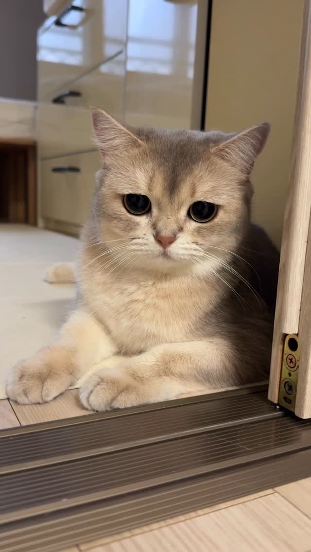 iruda_c 게시물 이미지: 드릉드릉🎵