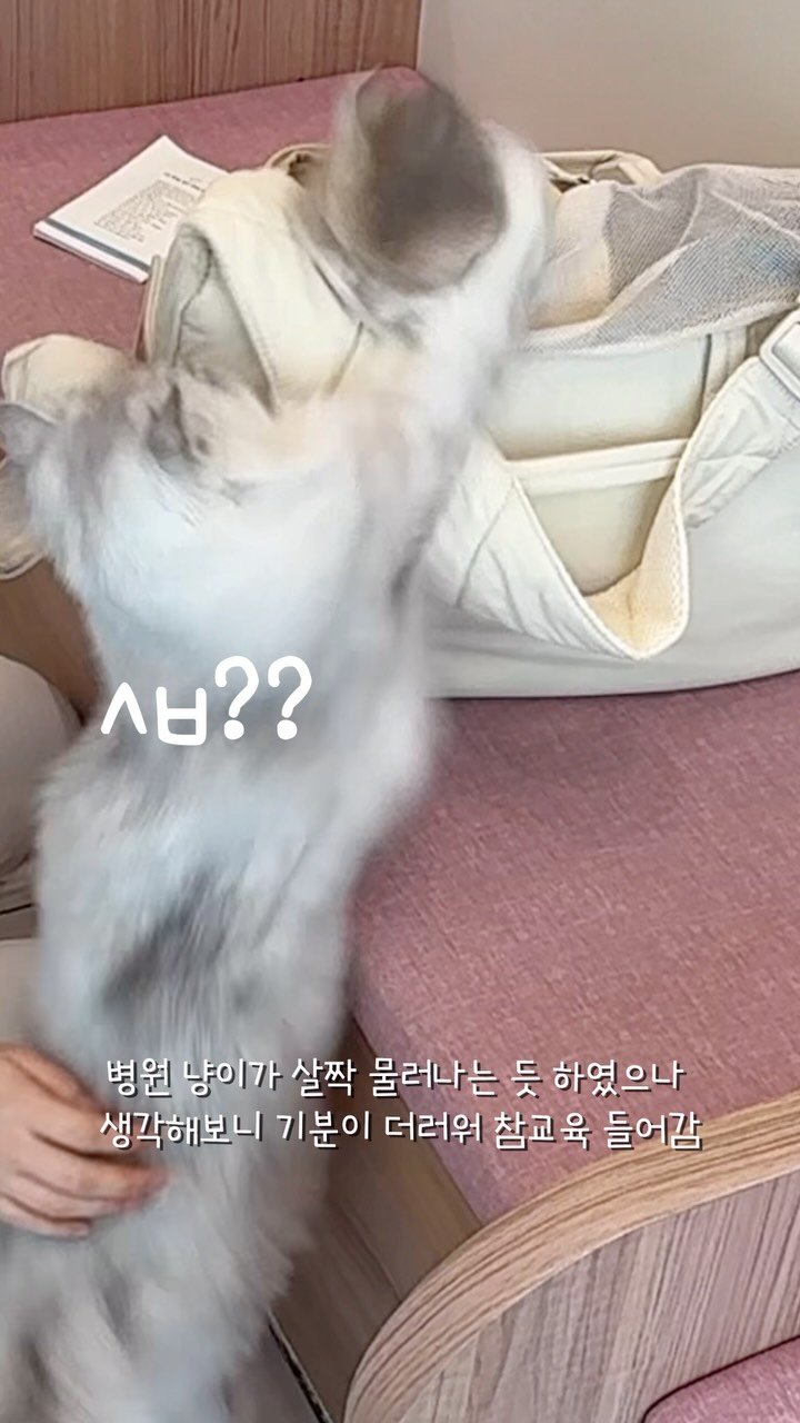 iruda_c 게시물 이미지: 우리 애 아빠가 화가 많이 났어요🔥